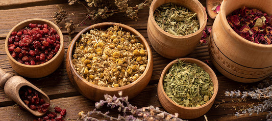 Herbal Supplement: Single Herb Extracts or Root Powder for Best Results?